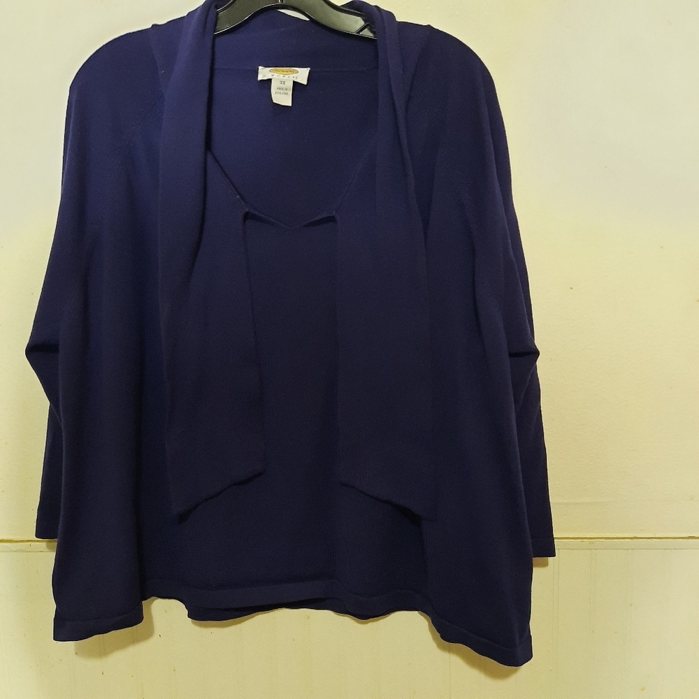 Talbots womens shirt,top purple size 3X pullover